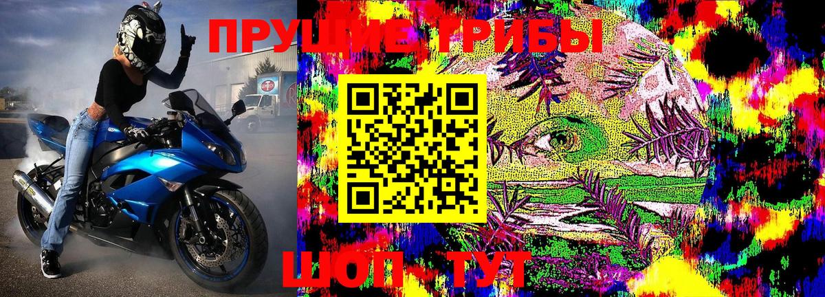 Галлюциногенные грибы MAGIC MUSHROOMS  Галлюциногенные грибы ЛСД  Вход с VPN  наркота  Отрадное 
